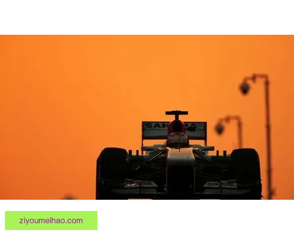 美多州F1禁尼古丁袋赞助风波